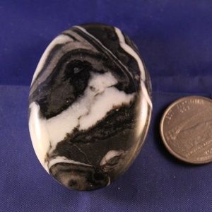Palm Stone Jasper Shell #15